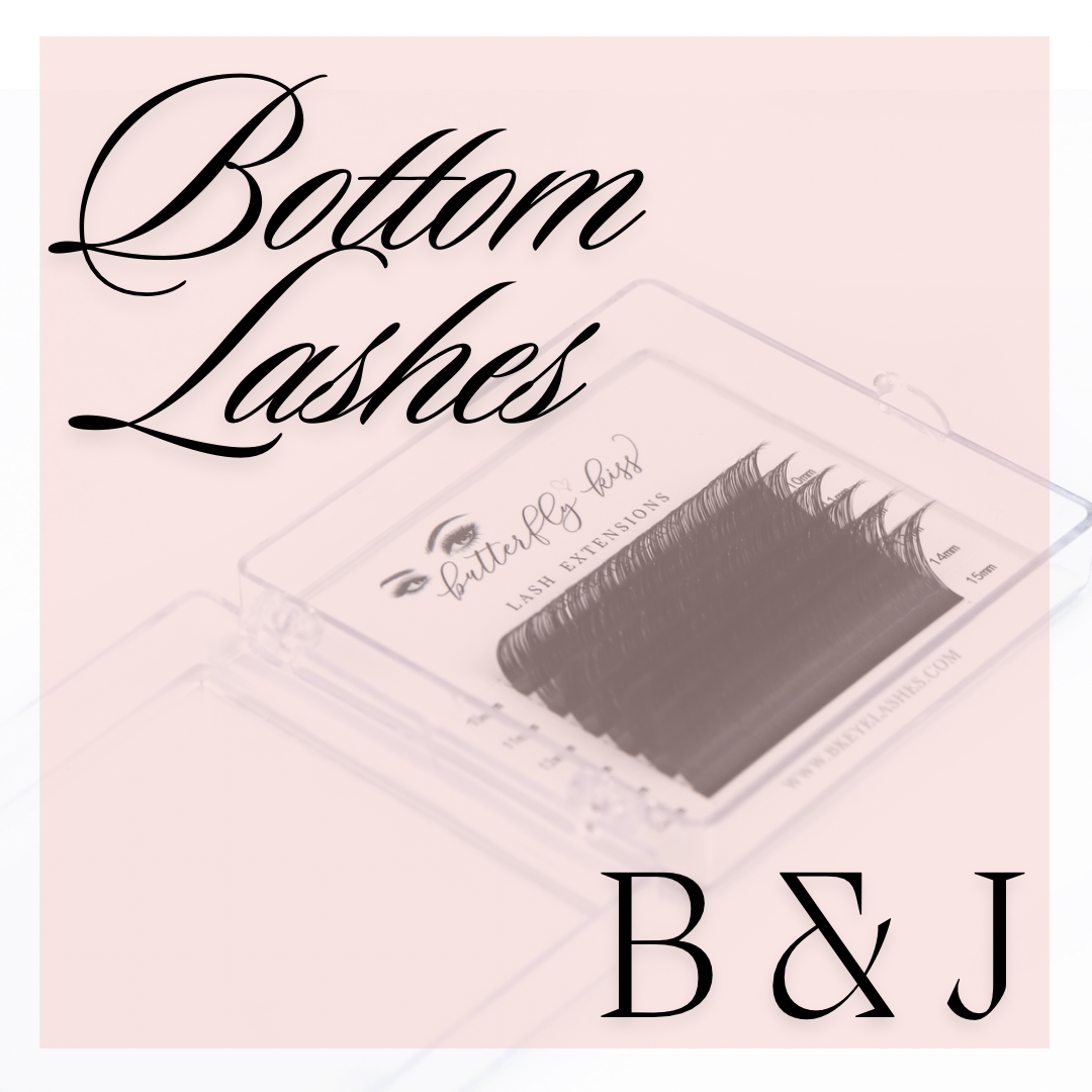 BOTTOM LASH TRAYS