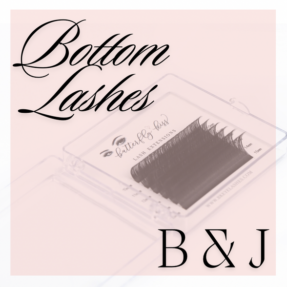 BOTTOM LASH TRAYS - bkeyelashes