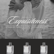 .02 VOLUME LASH TRAYS