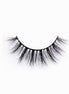 daisy mae luxury lash - bkeyelashes