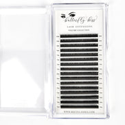volume collection - volume lash extensions - bkeyelashes